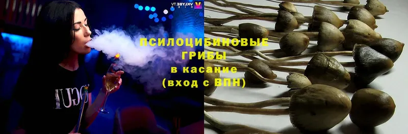 ссылка на мегу зеркало  Кыштым  Псилоцибиновые грибы Psilocybine cubensis  где найти  